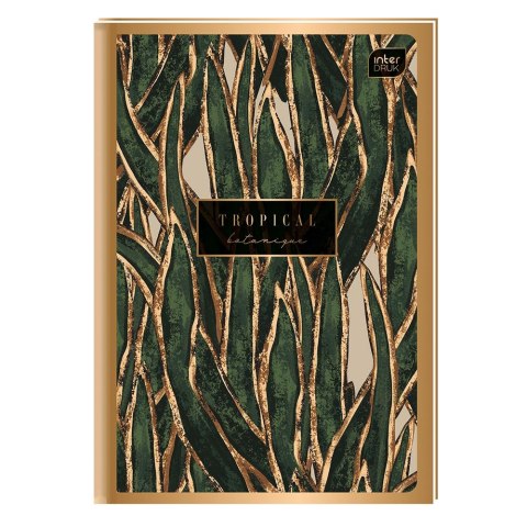 Brulion A6 96k. 70g linia Interdruk (BRA6=MG)