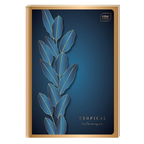 Brulion A6 96k. 70g linia Interdruk (BRA6=MG)