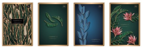 Brulion A6 96k. 70g linia Interdruk (BRA6=MG)