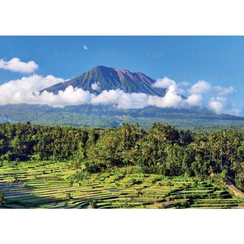 Kalendarz ścienny 13-planszowe 320mm x 470mm Lucrum (RW11)