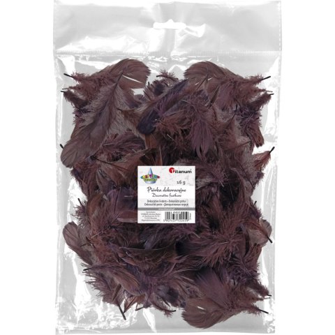 Piórka Craft-Fun Series brązowy Titanum