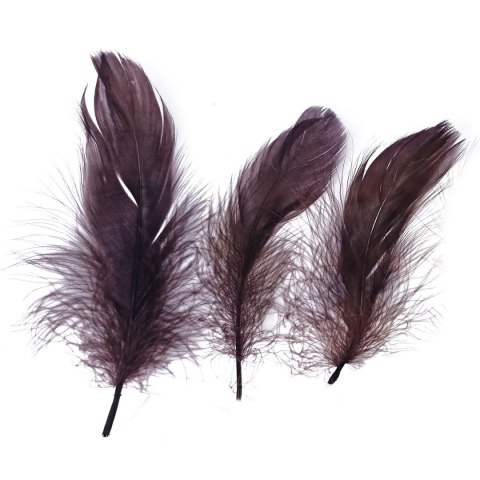 Piórka Craft-Fun Series brązowy Titanum