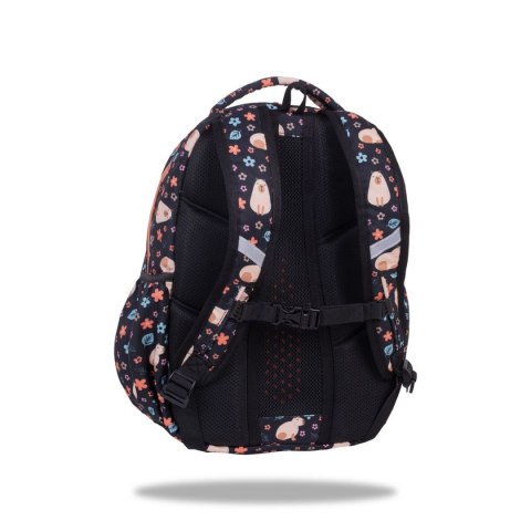 Plecak BASE PLUS CAPYBARA Coolpack Patio (F027937)