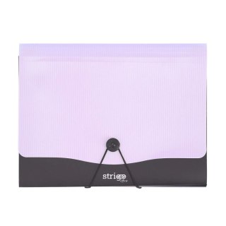 Teczka z przegródkami A4 kolor: fioletowy 13 przegródek Strigo (SF0060)