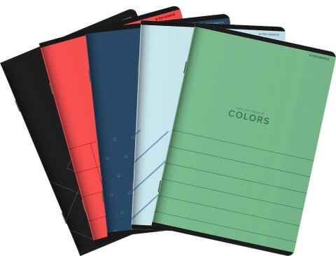 Zeszyt colors mix A5 96k. 70g krata Top 2000 (400169186)