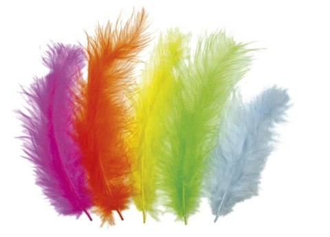 Piórka Craft-Fun Series jaskrawe kolory mix 25 szt Titanum