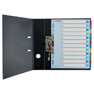 Przekładka numeryczna Mylar maxi A4 mix kolorów 160g 31k 1-31 Esselte (100210)
