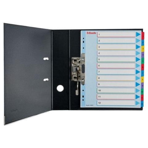 Przekładka numeryczna Mylar maxi A4 mix kolorów 160g 31k 1-31 Esselte (100210)