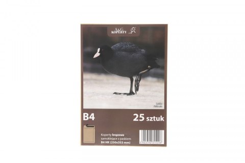 Koperta hk B4 brązowa [mm:] 250x353 WZ Eurocopert 25 sztuk