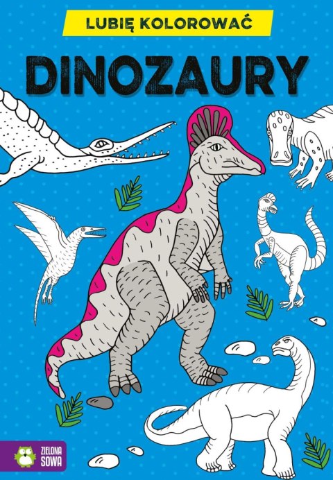 Książeczka edukacyjna Lubię kolorować. Dinozaury Zielona Sowa
