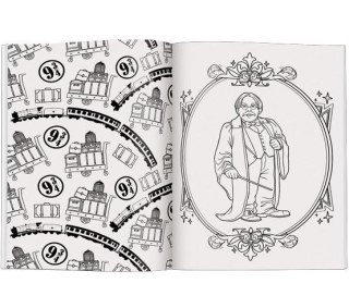 Książka dla dzieci Wizarding World. Magiczna kolorowanka Ameet (FCB 5101)