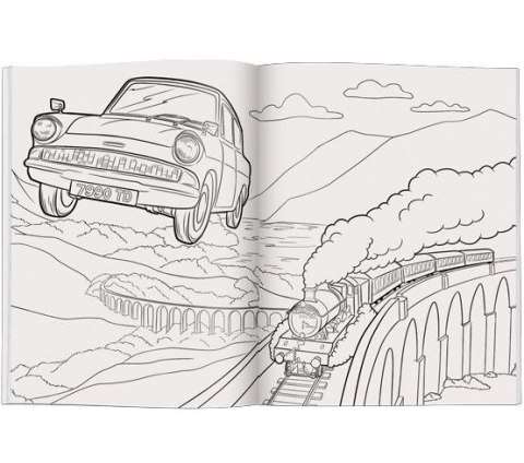 Książka dla dzieci Wizarding World. Magiczna kolorowanka Ameet (FCB 5101)