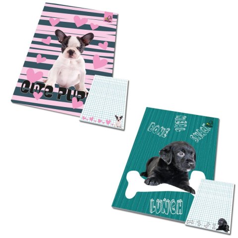 Notes (notatnik) Ev-corp (BB24215695)