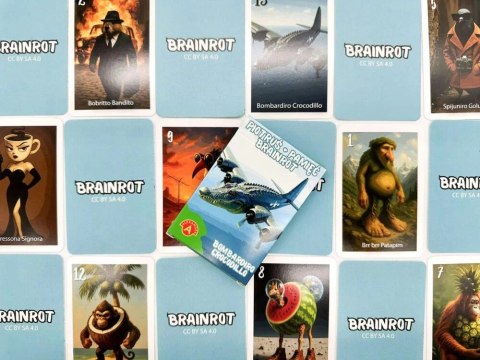 Karty Piotruś Brainrot Bombardiro Crocodillo Alexander 25 sztuk
