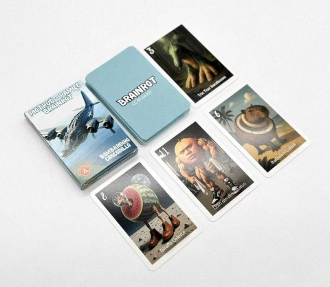 Karty Piotruś Brainrot Bombardiro Crocodillo Alexander 25 sztuk