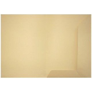 Teczka ofertowa ecru A4 kolor: ecri Bigo (1037)