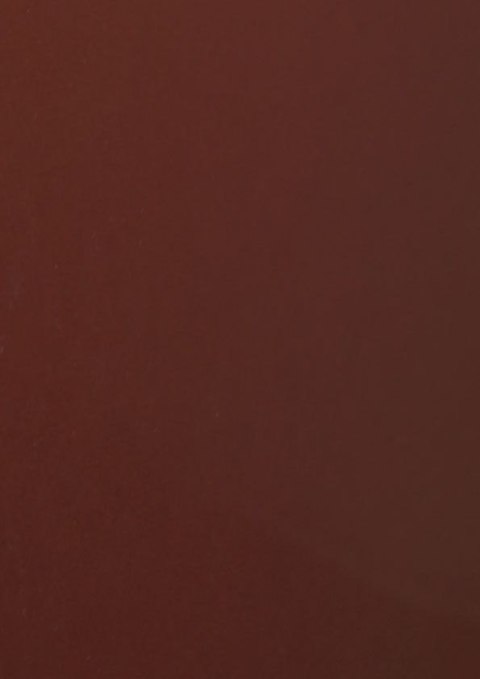 Brystol A3 brązowy 160g 20k Protos