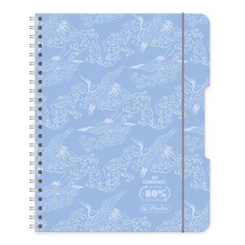 Kołobrulion ECO COLORS 9501438 A5 80k. kratka Herlitz (400198744)