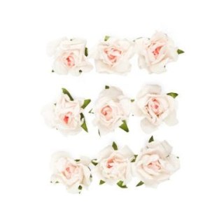 Kwiaty róże Argo (252041)