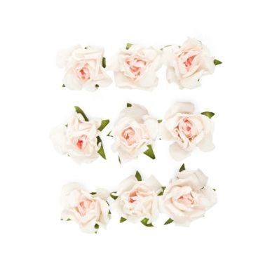 Kwiaty róże Argo (252041)