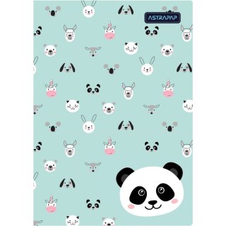 Zeszyt linia kolor A5 16k. linia Astrapap (102024001)