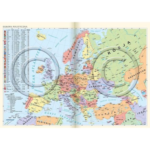 Kalendarz książkowy (terminarz) terminarz A5 145mm x 205mm Lucrum (21D-V)