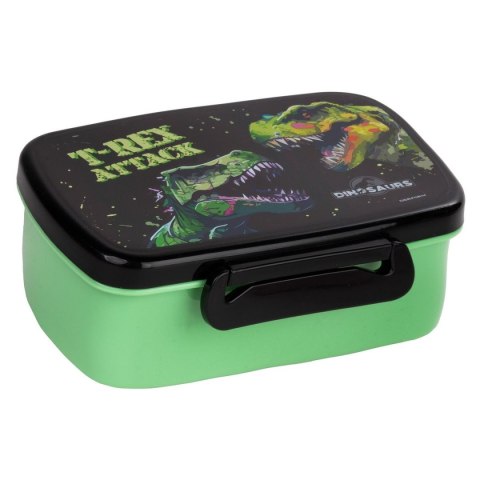 Śniadaniówka Dinozaur Derform (SADN20)