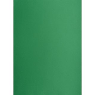 Brystol A1 ciemnozielony 160g [mm:] 610x860 Creatinio (400149561)