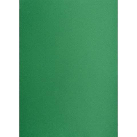 Brystol A1 ciemnozielony 160g [mm:] 610x860 Creatinio (400149561)