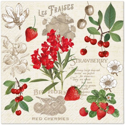 Serwetki Lunch Summer Fruits mix nadruk bibuła [mm:] 330x330 Paw (SDL140300)