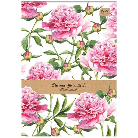 Notes (notatnik) A7 50k. krata [mm:] 74x105 Interdruk (NOA7)