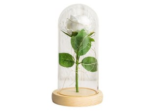 Gadżet Wieczna Róża W Szkle Kopuła Oświetlenie LED Biała 21x11cm Lean (21295)