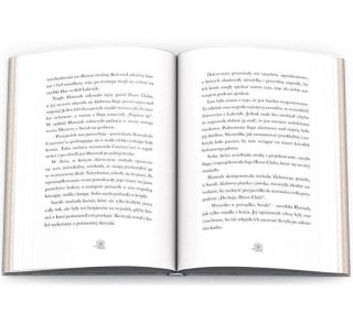 Książka dla dzieci HORSE CLUB. Niesamowity jeździec Ameet (CBH 8401)