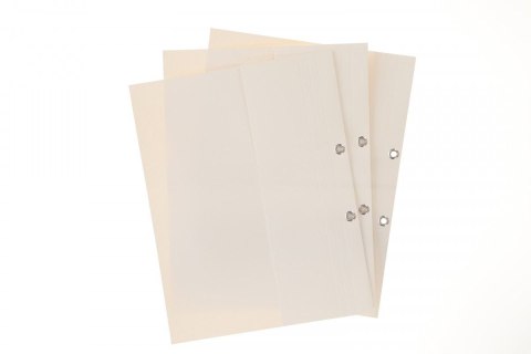 Skoroszyt OCZKOWY A4 biały tektura 300g Tekpar