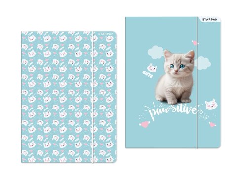 Teczka kartonowa na gumkę Kitty A4 mix Starpak (553545)