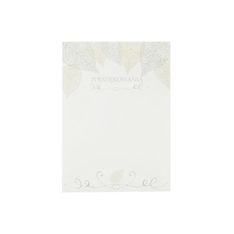 Dyplom PODZIĘKOWANIA A4 200g Rexus (602596)