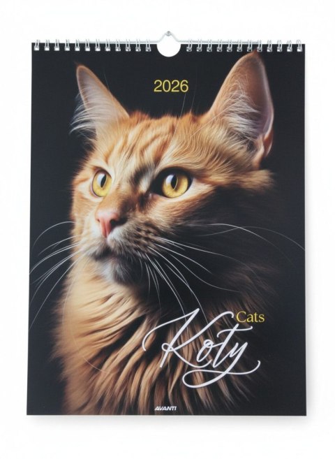Kalendarz ścienny MAŁY SPIRALA KOTY 230mm x 305mm Avanti (KSMS-4)