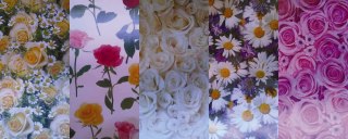 Papier pakowy ozobny 80g [mm:] 995x685 Paw