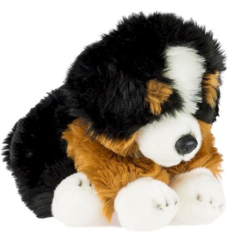 Pluszak pies fluffy 30 cm [mm:] 300 Anek (84404MT AN01)