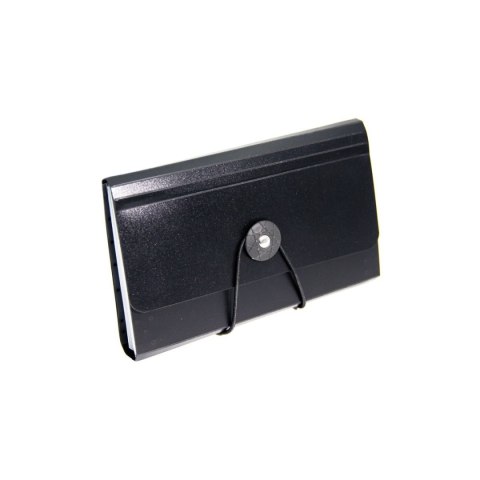 Teczka z przegródkami kolor: czarny 13 przegródek Biurfol (TH-S-01)