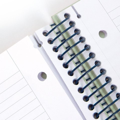 Kołozeszyt (kołonotatnik) 1918 różowy A4 80k. 95g linia Milan (57142E80P)