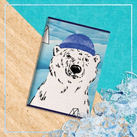 Zeszyt WINTER SAILOR A5 60k. 70g linia Top 2000 (400157926)