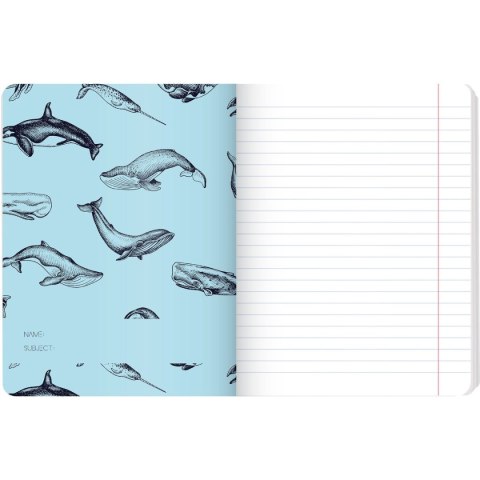 Zeszyt WINTER SAILOR A5 60k. 70g linia Top 2000 (400157926)