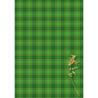 Brulion A5 200k. krata Kreska