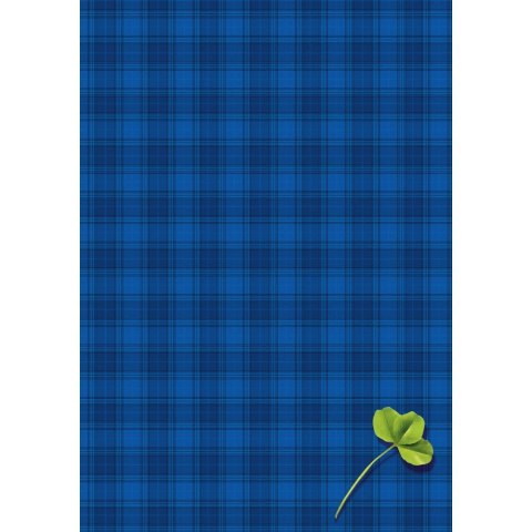 Brulion A5 200k. krata Kreska