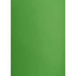 Brystol A2 zielony 160g 25k [mm:] 430x610 TOP-2000 (400150193)