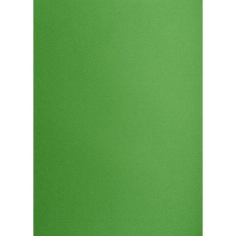 Brystol A2 zielony 160g 25k [mm:] 430x610 TOP-2000 (400150193)