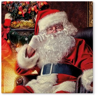 Serwetki BN mix nadruk bibuła [mm:] 330x330 Paw (TL828000)
