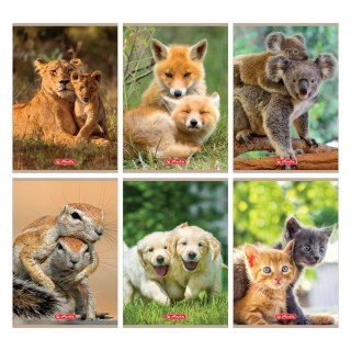 Zeszyt Animals 9583063 A5 32k. 70g krata Herlitz (400197968)