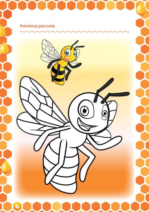 Kolorowanka Przyjaciółka Pszczółka
